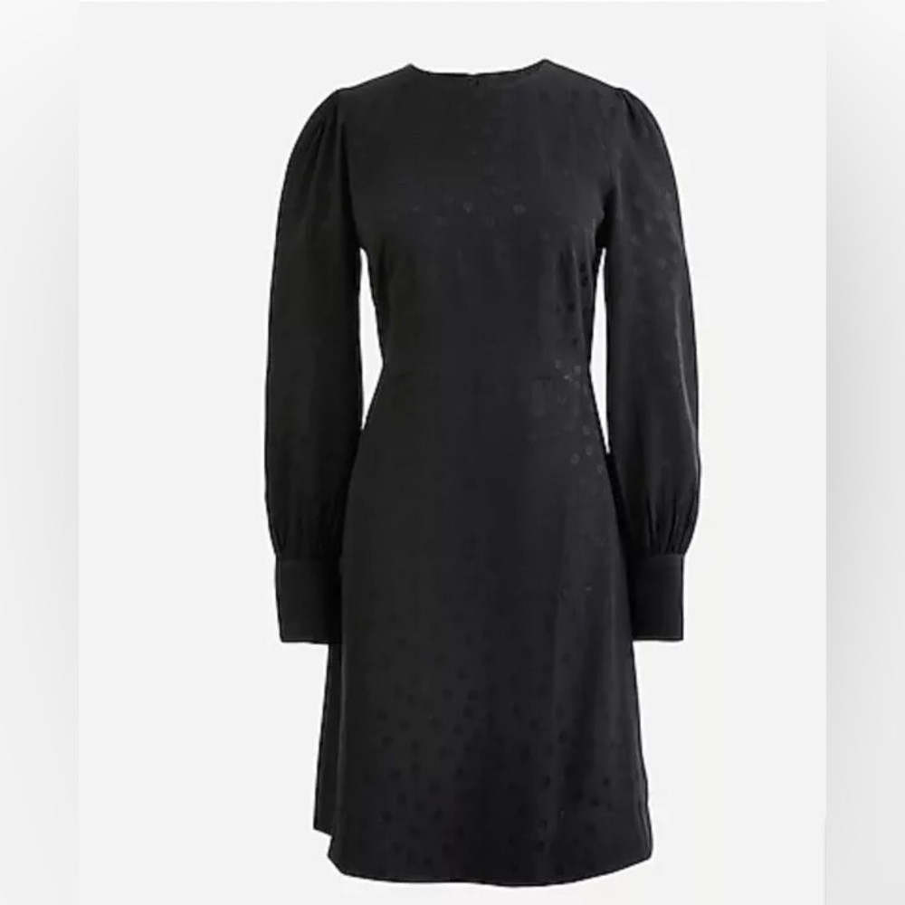 Jcrew Jacquard Swiss Dot Dress